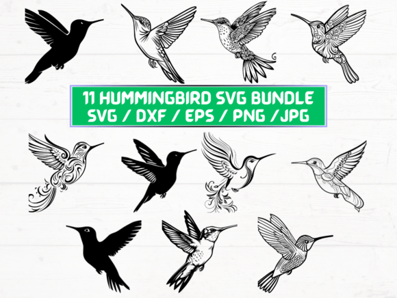 Hummingbird SVG Bundle: Graphics for Crafts & Content