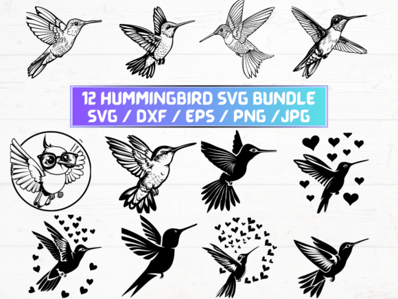 Hummingbird Svg Cricut for Graphics and Crafts