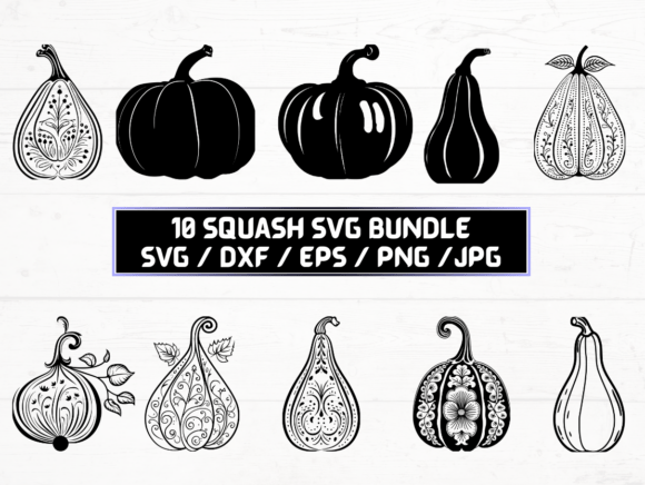 Squash SVG: A Versatile Graphics & Crafts Asset for Real Projects